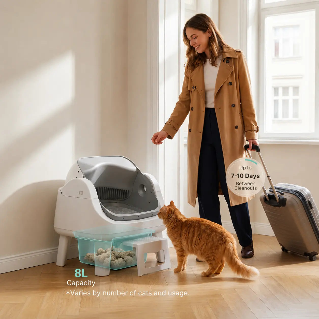 Petpivot Autoscooper 12 Lite Open-Top Automatic Self-Cleaning Cat Litter Box, Easy-Entry Front Step, Triple Safety Protection, No App Required